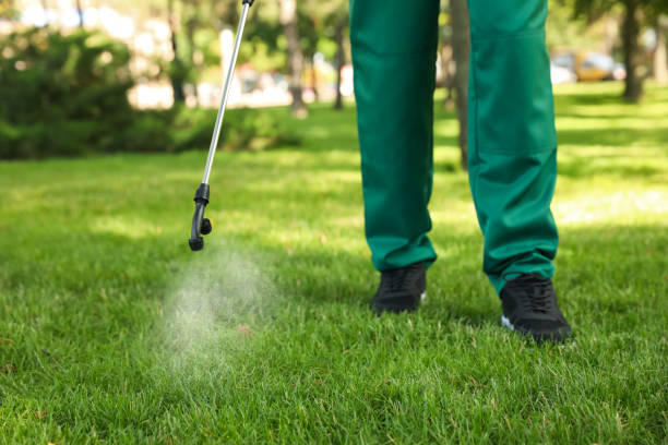 Best Affordable Pest Control Services  in Adamsville, AL