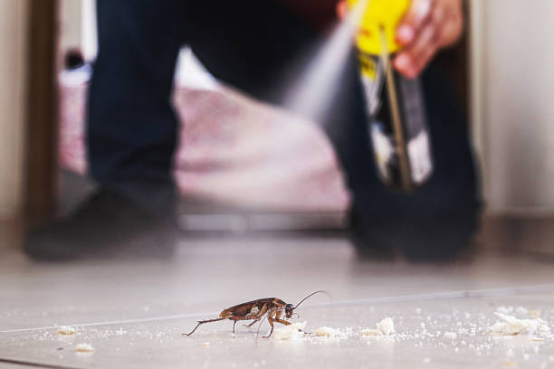 Trusted Adamsville, AL Pest Control Experts